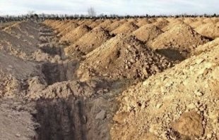 Ну, тогда готовьте!