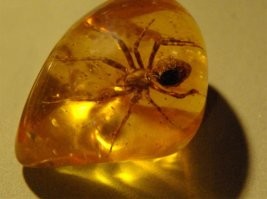 Паучок в упаковке.