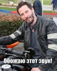 Корзина мурлыкающих котят