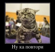 Такое разное подозрение
