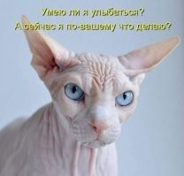 Такое разное подозрение