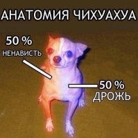 Почему мужчины живут меньше женщин