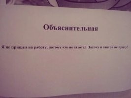 (С) Директор