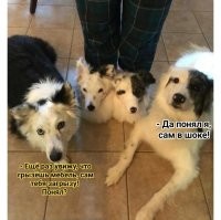 30 креативных вещей и придумок, которые вызывают много вопросов