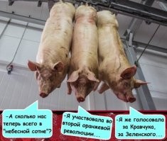 Ежегодный забег свиней в Британии
