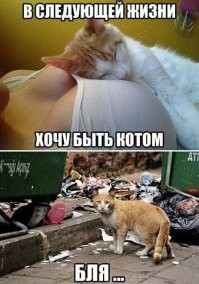 Просто гифки, всякие и&nbsp;разные