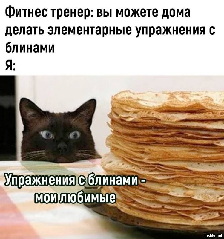 Парень сделал для своего кота тренажерный зал, потому что тот немного набрал вес