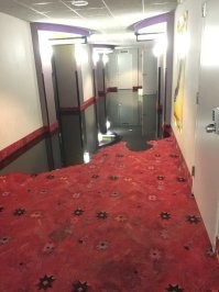 Да ковер старый и весь в пятнах. Страховка ремонт оплатит все ништяк.