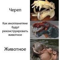 "восстановление" образа по черепу это все равно что восстановление автомобиля по раме.