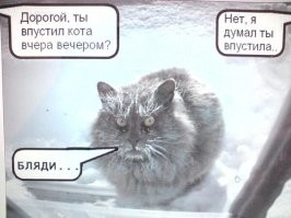 Осуждение как оно есть