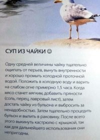 Добытчица⁠⁠: женщина ловко поймала чайку