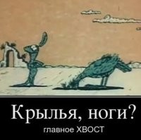 Почему в XVI веке мужчины начали носить перья в  шляпах