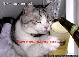Учёные выяснили, что пивные дрожжи могут очистить воду от свинца