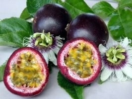 Маракуйя или Пассифлора.