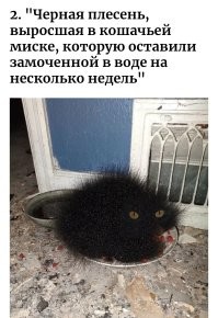 30 жутковатых кадров, от которых становится не по себе