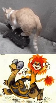 Просто гифки, всякие и&nbsp;разные