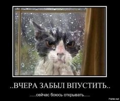 Осуждение как оно есть