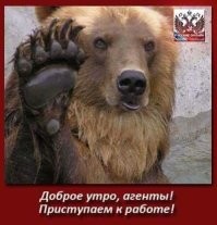 Медведь украл еду из холодильника семьи и съел её у них на глазах