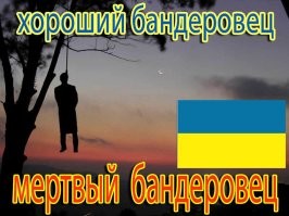 Политический мониторинг (332)