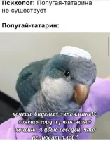 А вот плов абсолютно не татарское блюдо.
И если его и готовят татары и башкиры, то от этого он не перестаёт быть среднеазиатским (как минимум).