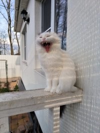 Моя принцесса Асечка.