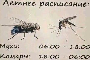 Когда светит луна хозяйничают другие насекомые