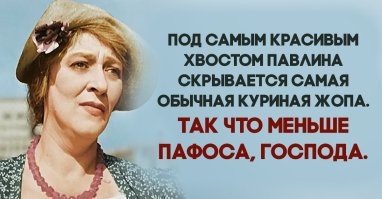 Скачет по крышам: жители деревни не могут нормально спать из-за "безумного" павлина