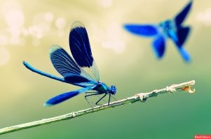 Ну красотка же!