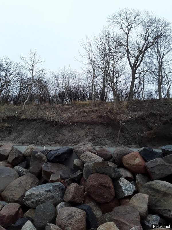 Зачем вы предлагаете мне смотреть куда то там??? Я же вам показала места, где я живу. Прямо у меня под боком идёт разрушение склонов. Причём именно такого типа как показаны в посте- на мягком основании, песчаные и глинистые. А место, упомянутое вами имеет другую геологию. Там основание каменное и более прочное. Собственно потому пока(!) тот волнолом справляется. Помимо всего и морские нюансы нельзя не учитывать. Там одни условия дна, течений, ветров, а на Балтике и в Ла-Манше совсем другие. Вот вам ещё фоточки берега моего города. И попытки укрепления с бетонными подпорными стенами, насыпкой валунов и волнорезами. Собственно сами волнорезы. И то как выглядели бетонные сооружения нашего и соседнего города после очередного шторма.
  И повторюсь, нужны комплексные меры. Сооружения в море, на самом берегу. запрет разных строительств, мониторинг течений, ветров и эрозии. КОМПЛЕКС мер. И постоянная, постоянная работа. Это не дорого, а ОЧЕНЬ, ОЧЕНЬ дорого. неподъёмно дорого для просто жителей, даже для государственного бюджета очень весомо.