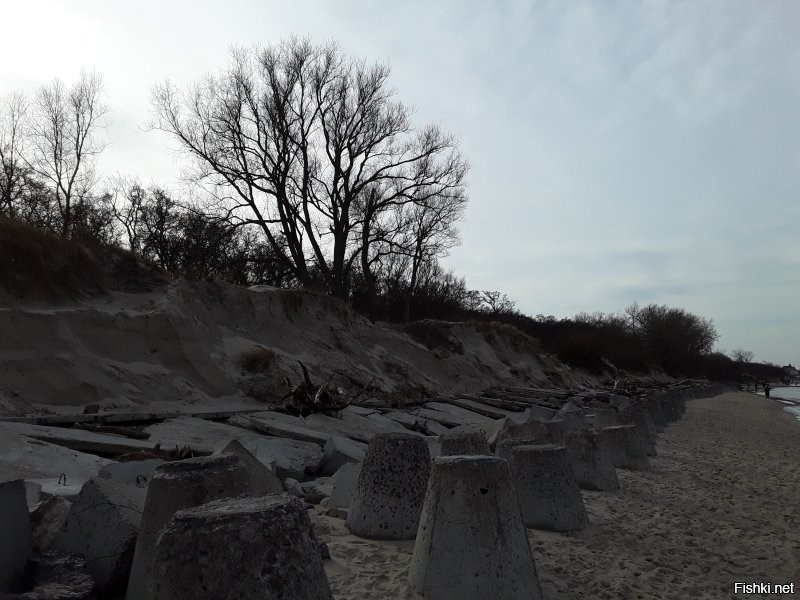 Зачем вы предлагаете мне смотреть куда то там??? Я же вам показала места, где я живу. Прямо у меня под боком идёт разрушение склонов. Причём именно такого типа как показаны в посте- на мягком основании, песчаные и глинистые. А место, упомянутое вами имеет другую геологию. Там основание каменное и более прочное. Собственно потому пока(!) тот волнолом справляется. Помимо всего и морские нюансы нельзя не учитывать. Там одни условия дна, течений, ветров, а на Балтике и в Ла-Манше совсем другие. Вот вам ещё фоточки берега моего города. И попытки укрепления с бетонными подпорными стенами, насыпкой валунов и волнорезами. Собственно сами волнорезы. И то как выглядели бетонные сооружения нашего и соседнего города после очередного шторма.
  И повторюсь, нужны комплексные меры. Сооружения в море, на самом берегу. запрет разных строительств, мониторинг течений, ветров и эрозии. КОМПЛЕКС мер. И постоянная, постоянная работа. Это не дорого, а ОЧЕНЬ, ОЧЕНЬ дорого. неподъёмно дорого для просто жителей, даже для государственного бюджета очень весомо.