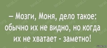 Политический мониторинг (334)
