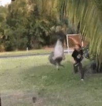 Просто гифки, всякие и&nbsp;разные