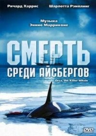 Мужчина заплатил 600 долларов за прыжок на косатку