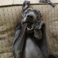 Блин, напугал на ночь глядя.