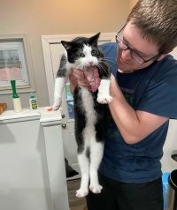 "Ни афем ни фалею!" (с) Кот