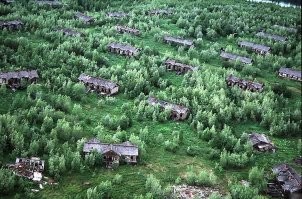 В нашей тайге можно много чего найти.