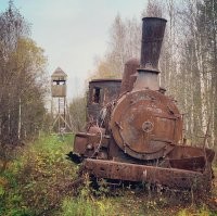 В нашей тайге можно много чего найти.