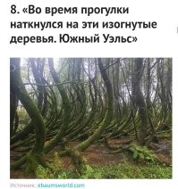 Оказывается это не уникальное явление. В Польше тоже есть.