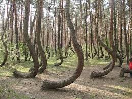 Оказывается это не уникальное явление. В Польше тоже есть.
