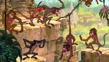 По русски не знаю