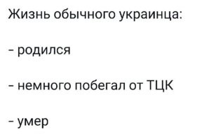 Политический мониторинг (335)