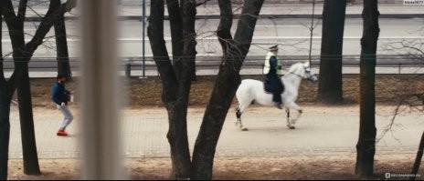 16 безумных ситуаций, которые сложно описать словами