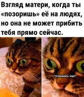 У моего отца такой же взгляд