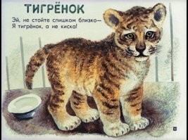 Лошадь Королевской гвардии укусила туристку, которая решила с ней сфотографироваться