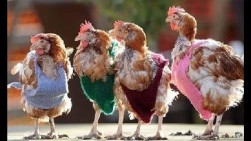 Парни после спортзала устроили пикник в супермаркете