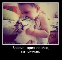 Мальчик потревожил покой пушистого зла