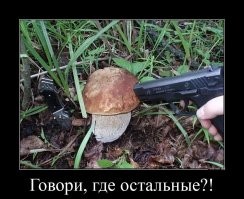 Мужчины нашли неизвестную статую посреди таиландского леса: ученые озадачены