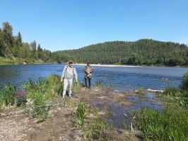 Вертолёт и налегке ножками.
Это точно.