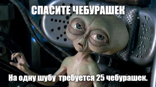 Живодеры=)