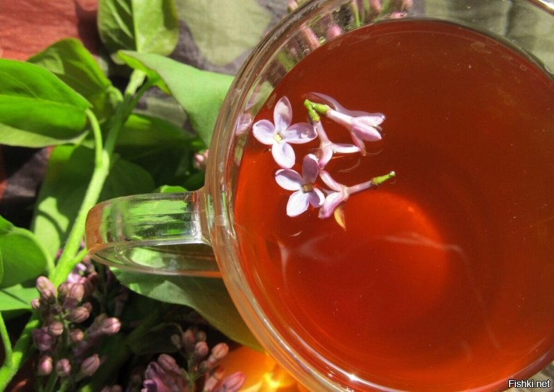 Сушим цветки сирени и немного добавляем в чай для своих целей...-цветы сирени - 5-7 цветочков...